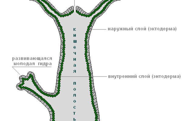 Кракен сайт покупок